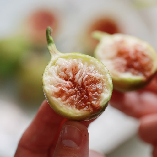 悟空家蜜糖无花果花香蜜格莱斯芭劳奈糖包子流蜜软糯大芭新鲜水果
