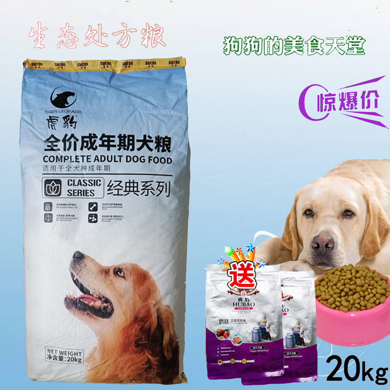哈士奇萨摩耶拉布拉多通用型成犬