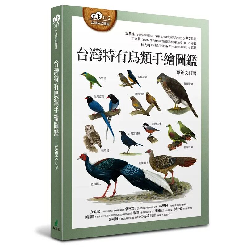 预售 蔡锦文 中国台湾特有鸟类手绘图鉴 猫头鹰