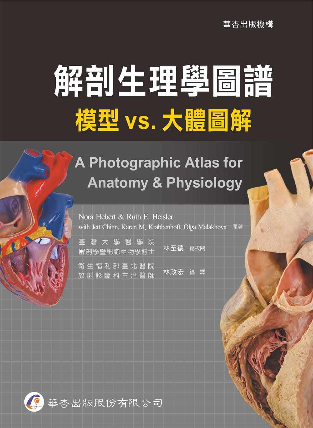 预售 Nora Hebert 解剖生理学图谱:模型 vs.大体图解 华杏