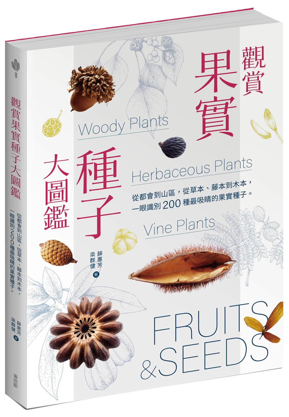 预售 观赏果实种子大图鉴:从都会到山区,从草本、藤本到木本,一眼识别 200 种*吸睛的果实种子 麦浩斯 梁群健
