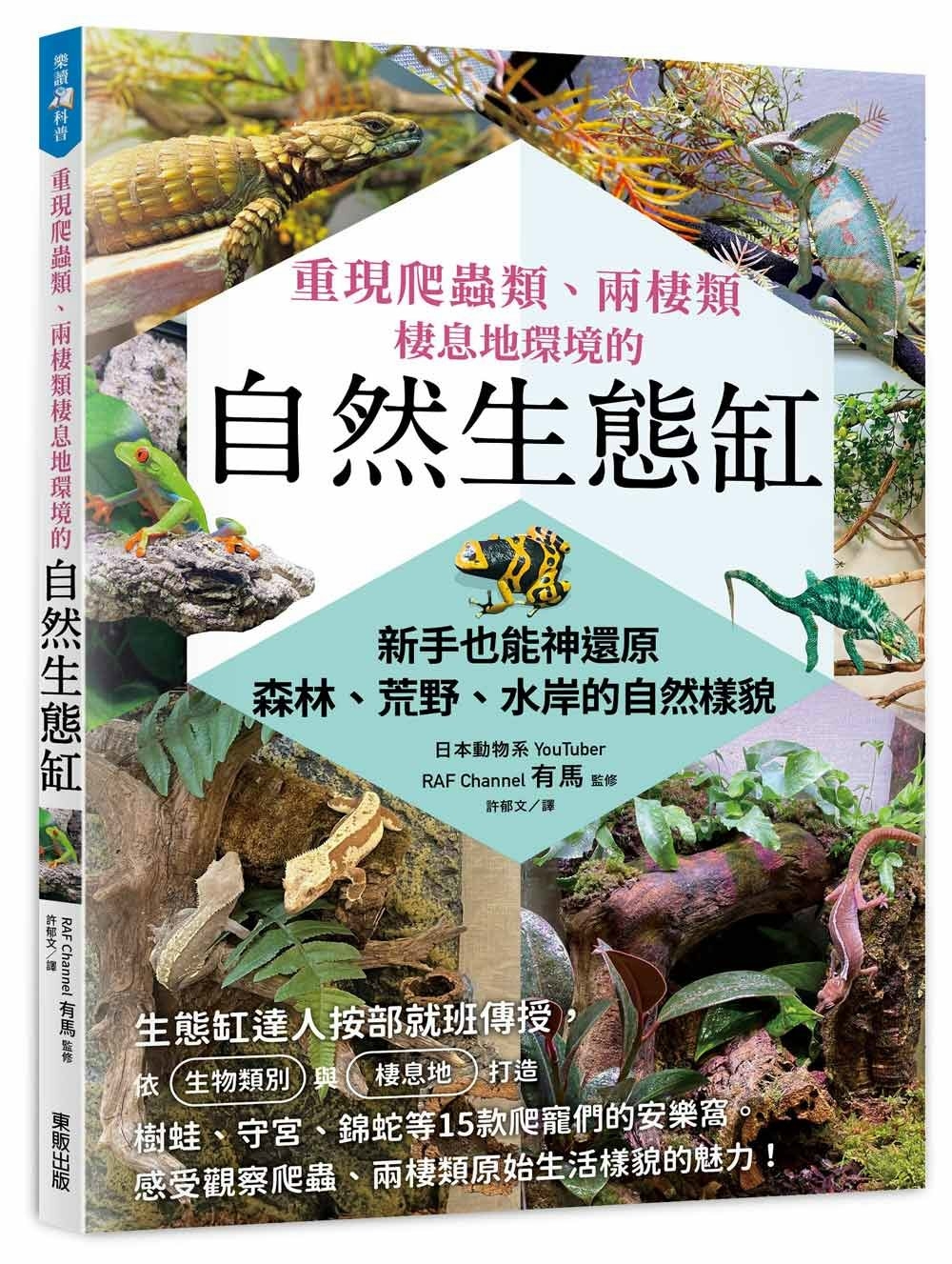 预售重现爬虫类、两栖类栖息地环境的自然生态缸：新手也能神还原森林、荒野、水岸的自然样貌台湾东贩 RAF Channel有马