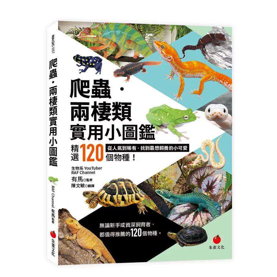 预售 爬虫•两栖类实用小图鉴：精选120个物种！从人气到稀有，找到*想饲养的小可爱 朱雀 RAF Channel有马
