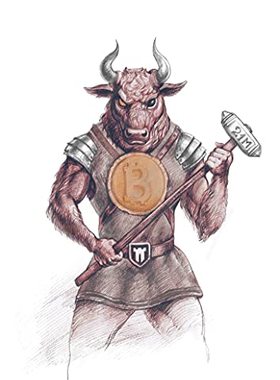 现货  英文原版 The Bullish Case for Bitcoin