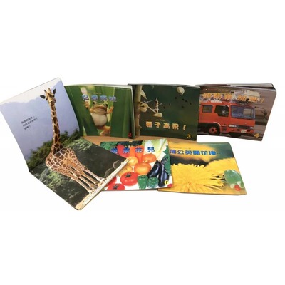 大科学儿童自然科学月刊