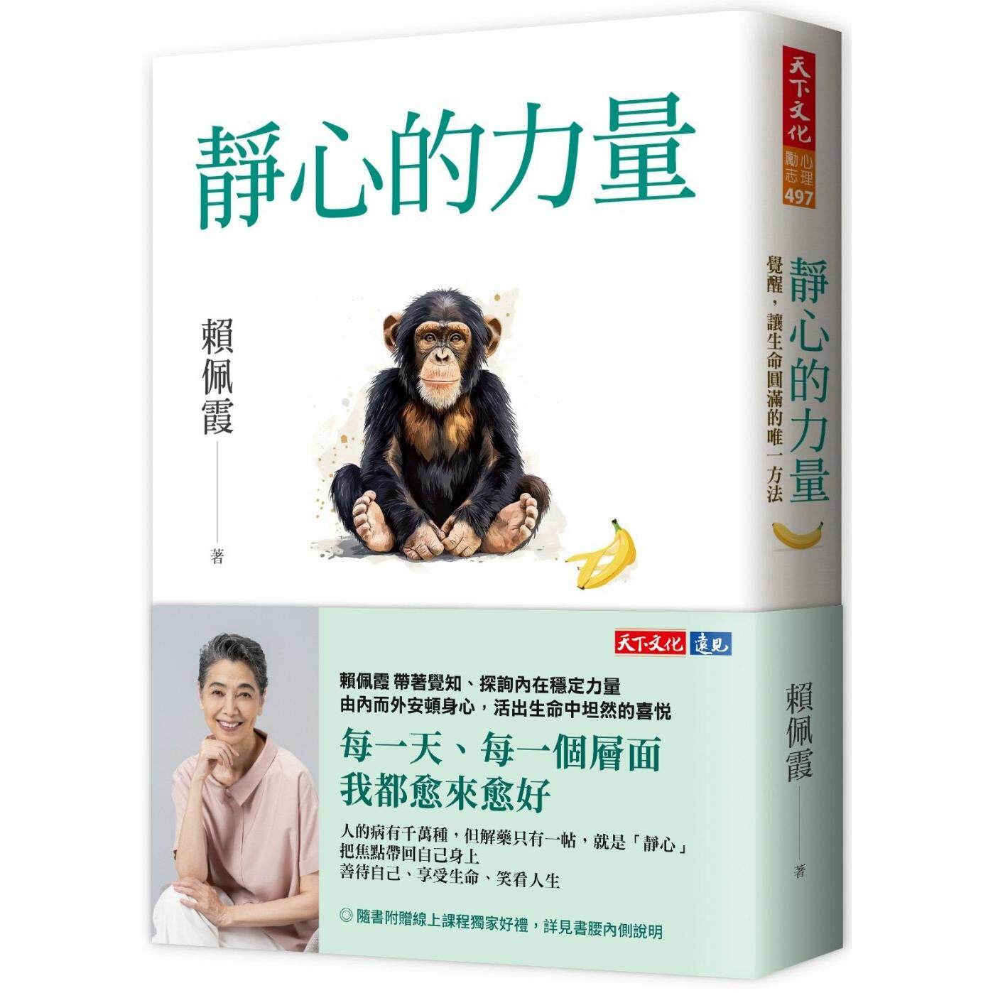 预售 静心的力量:觉醒,让生命圆满的*一方法 天下文化 赖佩霞