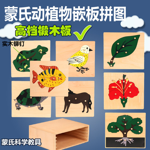 蒙氏品牌教具实木制作手眼协调