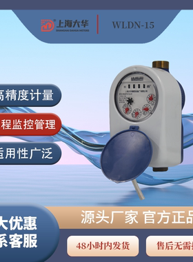 上海lxsy智能远程直读水表