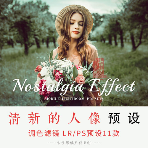 068-LR PS预设-11款清新的人像照片lightroom人像预设支持手机版