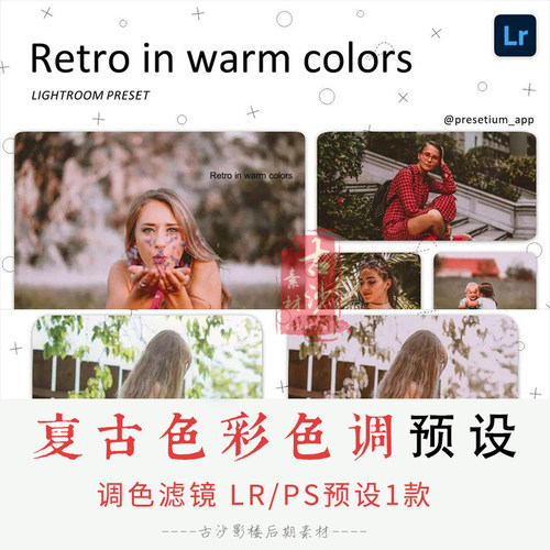 0184-LR+PS预设 复古色彩Lightroom预设APP调色滤镜 1款
