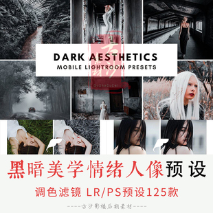 0190-LR+PS预设 黑暗美学情绪人像lightroom预设125款