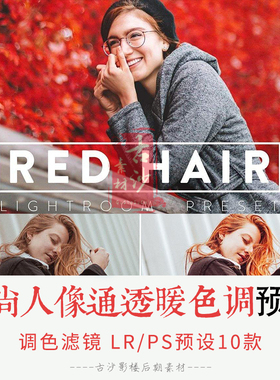 0276-LR+PS预设 时尚人像通透暖色调LRPS预设移动APP预设 10款