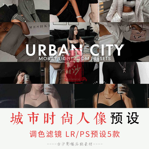 0163-LR PS预设 城市时尚人像Lightroom预设手机版LR预设 5款