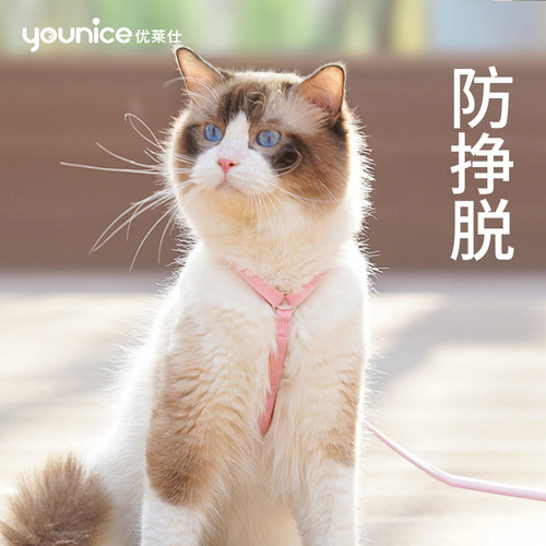 猫栓绳价格_猫栓绳图片- 星期三