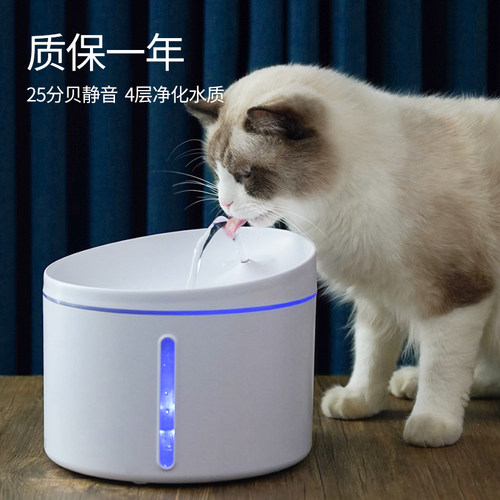自动饮水器猫素材模板 自动饮水器猫图片下载 小麦优选