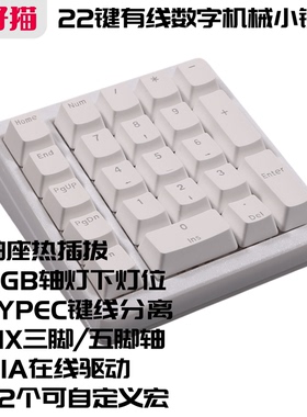 【菜籽猫T】DS22数字机械PAD键盘 财务小键盘QMK VIA改键有线单模