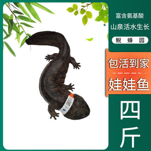 四斤一条适合家庭餐食用味道鲜美