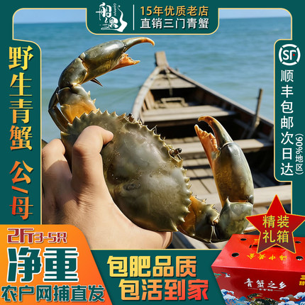 船遇三门青蟹鲜活 野生青蟹特大 母膏蟹 公母肉蟹 猷蠓 礼盒2斤