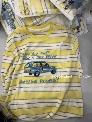 韩国货现货2026春季新款洋气圆领宽松百搭汽车条纹长袖T恤上衣女