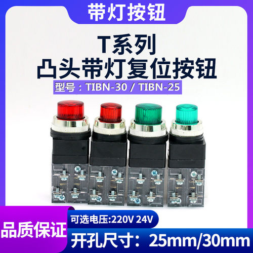 凸头开关带灯按钮THNDTIBN-25/30