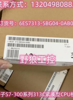 6ES7313-5BE01/5BF03/5BG04-0AB0西门子S7-300紧凑型CPU313C模块