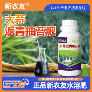 大蒜返青抽苔肥出苔齐蒜头大蒜苔粗专用增产早熟含氨基酸叶面肥