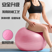 瑜伽球健身球孕妇助产加厚防爆儿童感统训练平衡大龙球滚背球