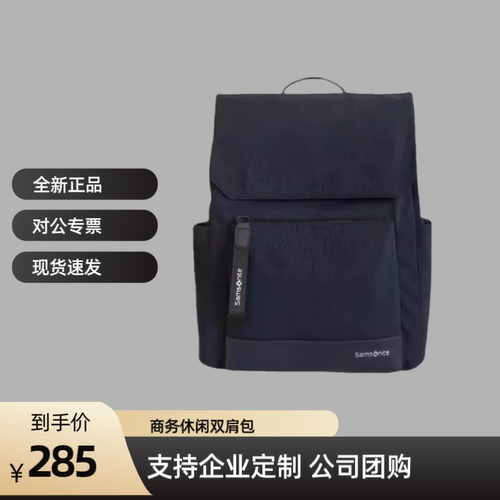 新秀丽超轻笔记本电脑双肩包96Q