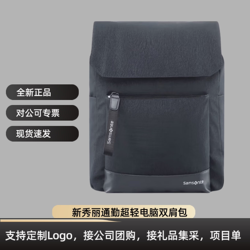 新秀丽超轻笔记本电脑双肩包96Q