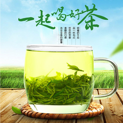 高山绿茶易莘绿茶毛尖茶明前包邮