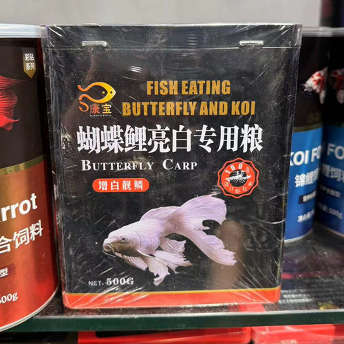 康宝蝴蝶鲤亮白锦鲤冷水鱼饲料