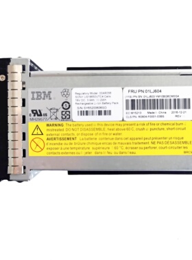 00AR260 00AR056 01LJ603 01LJ604 原装 IBM V9000 2145-DH8 电池