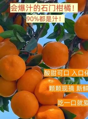 湖南石门蜜桔柑橘橘子桔子早熟橘子新鲜酸甜产地直供当季新鲜水果