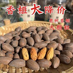 阿文家在临安特产香榧250克×2袋坚果诸暨香榧子枫桥当季新货炒货