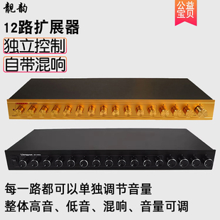 靓韵 AR2000A十二路多功能麦克风扩展器12路会议话筒集线器混音器