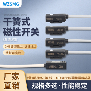 S20 DS1 020 S40 S32 S25 S16 S8S10 磁性开关CS1
