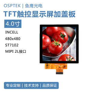 鱼鹰光电4寸触控彩屏加盖板480*480 MIPI 2L接口 incell