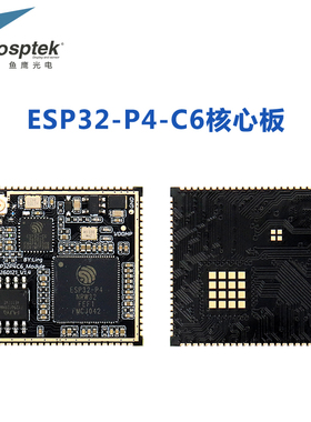鱼鹰光电P4C6核心板 V1.3版本芯片 16M+32M 资料齐全 品质保证