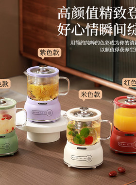 全玻璃小型养生杯迷你多功能