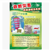 正版 6张 包票 自然灾害引起避险与自救宣教挂图 套 安全生产月