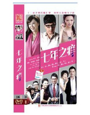 正版电视剧dvd 七年之痒 华少文清李好 经济版连续剧9DVD碟片