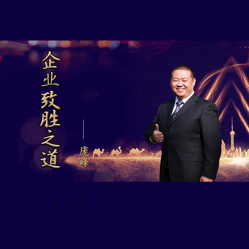 正版包票 庞峰 企业致胜之道 视频课程非DVD4