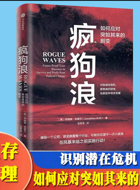 疯狗浪 企业应对颠覆性的指南 乔纳森布里尔著 对剧变的管理提出系统的解决方案