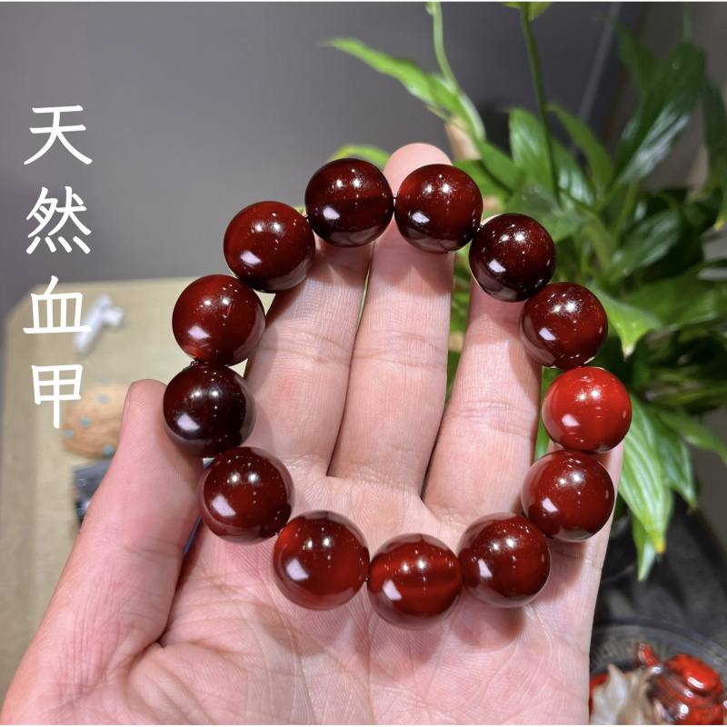 天然血甲手串黄金甲山龟手链文玩