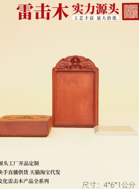 雷击木貔貅五行符牌吊坠镜面外壳