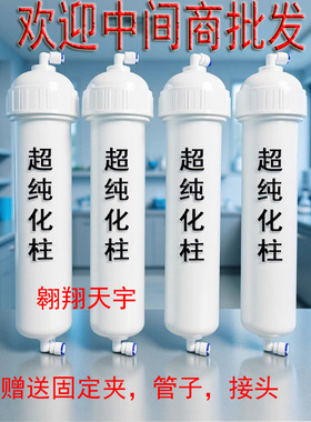 实验室超纯水机纯化柱预处理滤芯RO反渗透膜反渗透柱超纯水柱