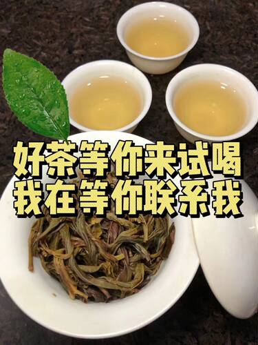 喜欢喝乌岽古树单丛茶的可以试试