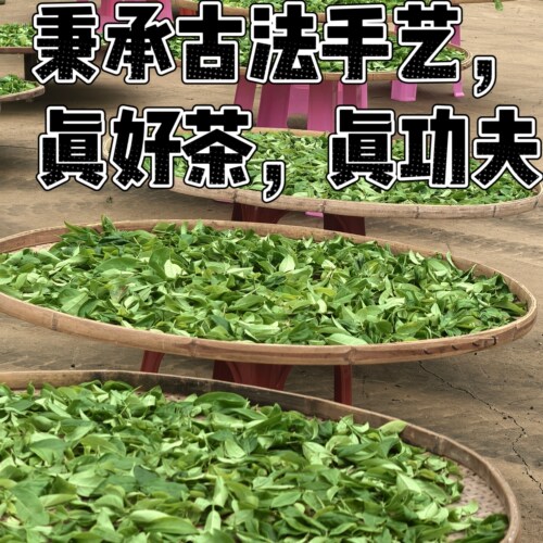 2026年春茶新茶凤凰单丛茶高山茶雷扣柴多尼香杨梅叶宋种凹富后