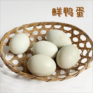 红领农场生态鲜鸭蛋四川成都食用农产品新鲜现捡散养营养土鸭蛋