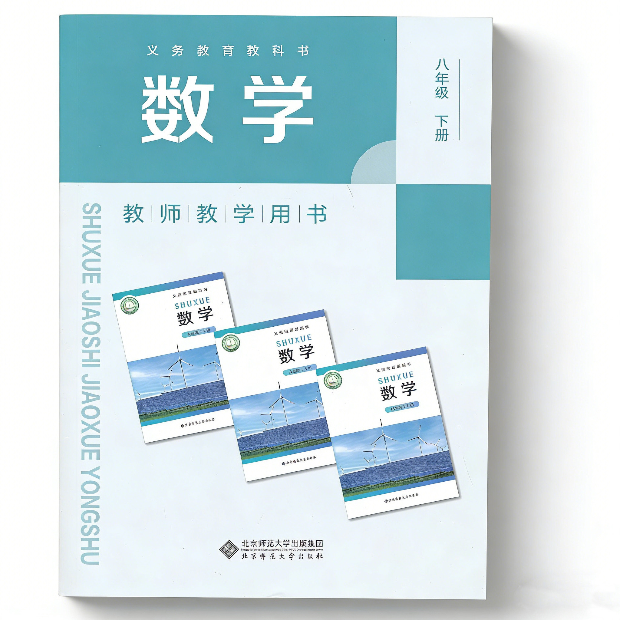 新版8下北数教参北师大版带激活码八年级下册初中教师教学用书8年级下册教师资格证招聘考试用书人民教育出版社